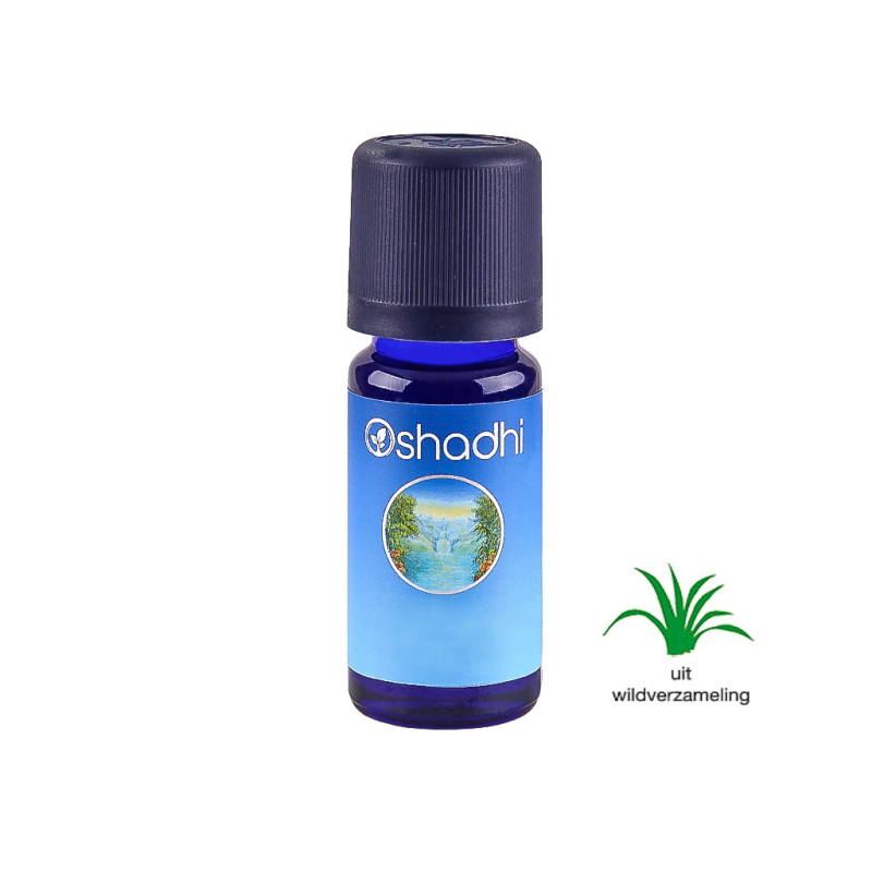 Spijk Lavendel essentiële olie Bio 10 ml